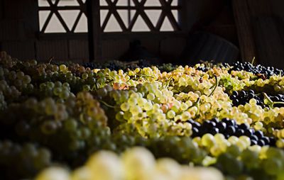 Grapes for sale at market