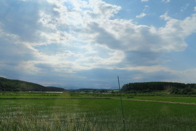 Scenic view of field against sky