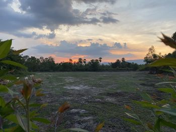 Scenic view of field against sky during sunset