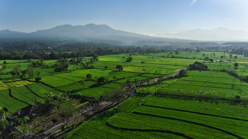 Aerial view of agricultural field against sky