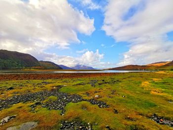 Scenic view of field against sky