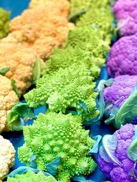 Close-up of multi colored vegetables for sale in market