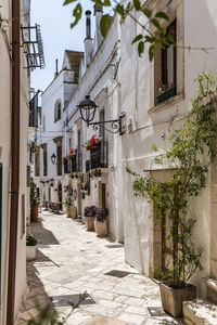 Alley amidst buildings in town