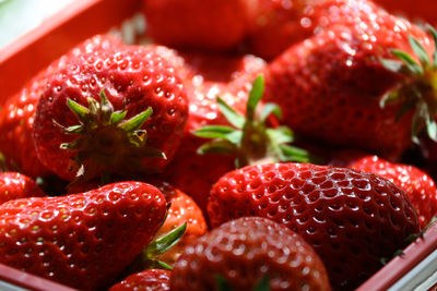 Close-up of strawberries