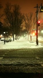 Road passing through bare trees at night