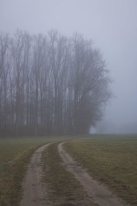 Road amidst bare trees on field against clear sky