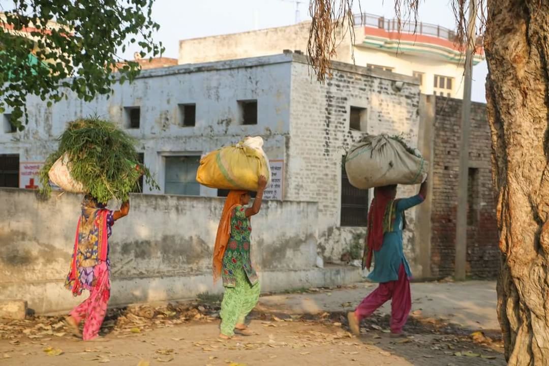 REAR VIEW OF PEOPLE STANDING BY TREES