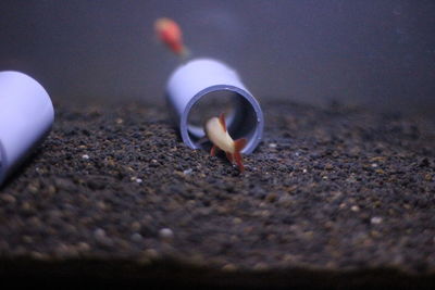 Close-up of burning candles on sand