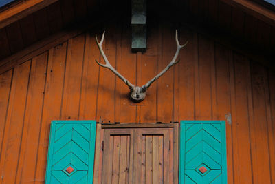 Low angle view of antler mounted on house