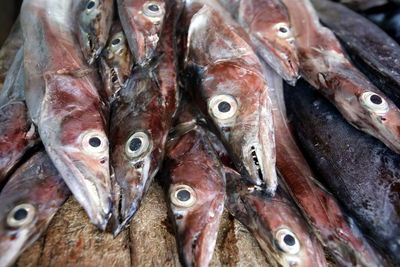 Close-up of dead fishes in market for sale