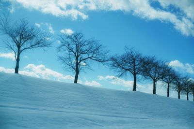 Bare trees on snow covered landscape against sky