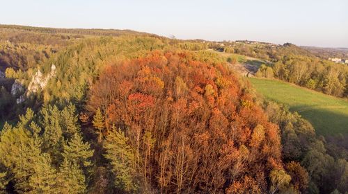 Scenic view of landscape against sky during autumn