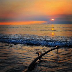 Scenic view of sea at sunset