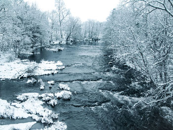 Frozen lake by trees during winter