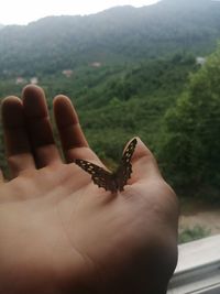 Midsection of person holding stick