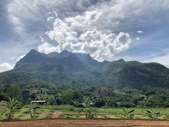 Scenic view of agricultural landscape against sky