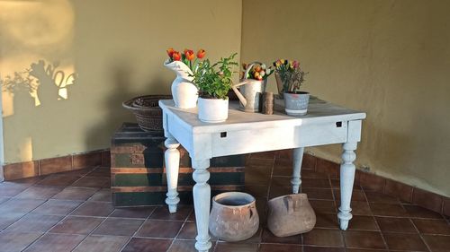 Potted plants on table at home