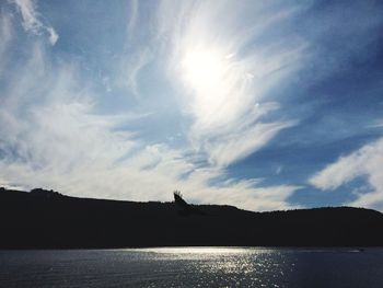 Silhouette birds flying over lake against sky