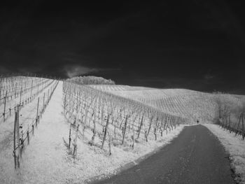 Road amidst field against sky during winter