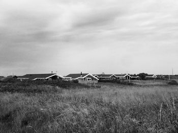 Crop on field against cloudy sky