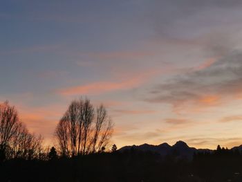 Low angle view of silhouette trees against sky during sunset