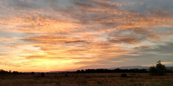 Scenic view of silhouette field against sky during sunset