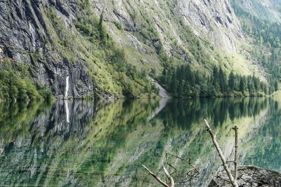 Scenic view of lake by trees