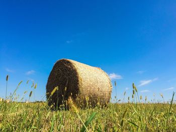 Hay bales on field against clear blue sky