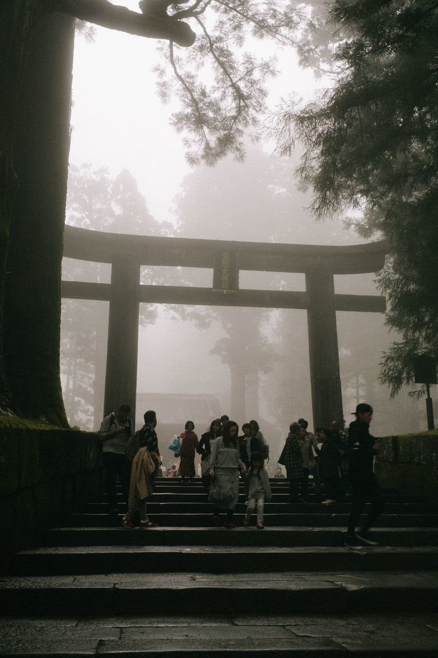 PEOPLE WALKING ON ROAD AGAINST TREES