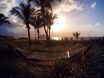 Palm trees on beach against sky during sunset