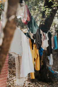 Clothes drying on clothesline