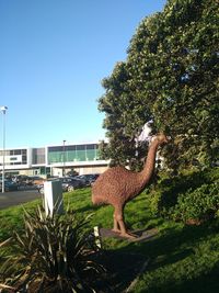 Giraffe in park against clear sky