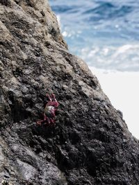 Midsection of person on rock against mountain