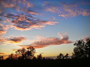 Silhouette of trees at sunset