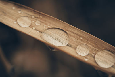 High angle view of keys on wood