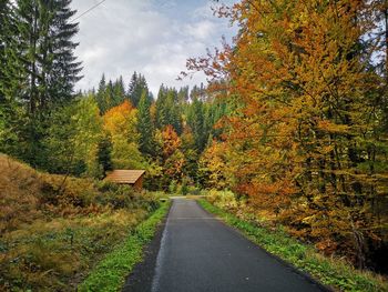 Road amidst trees during autumn against sky