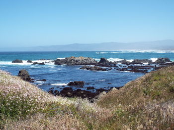 Scenic view of sea against clear sky