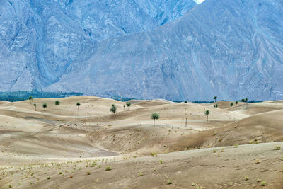 Scenic view of desert landscape during winter