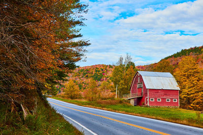 Road amidst trees against sky