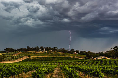 Scenic view of agricultural field against cloudy sky