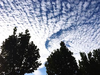 Low angle view of silhouette trees against sky