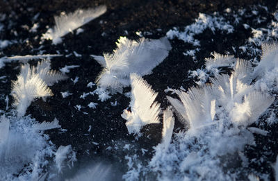 High angle view of snow covered land