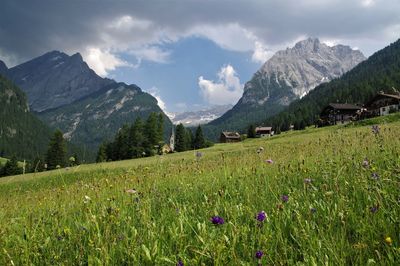 Scenic view of grassy field against cloudy sky