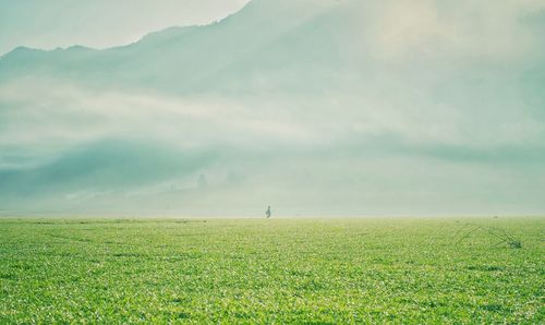 Scenic view of field against sky