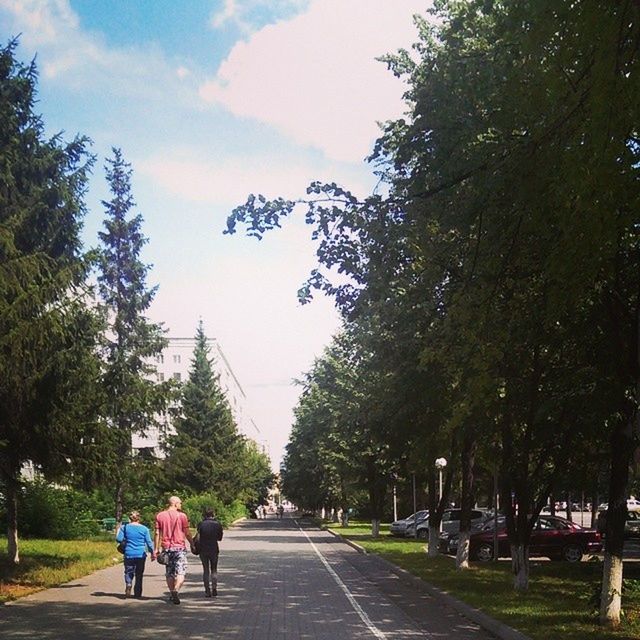 tree, rear view, men, walking, lifestyles, the way forward, road, full length, transportation, street, person, leisure activity, sky, togetherness, on the move, footpath, day, growth