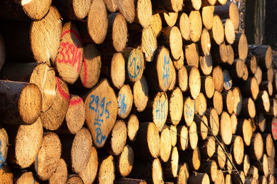 Full frame shot of logs in forest