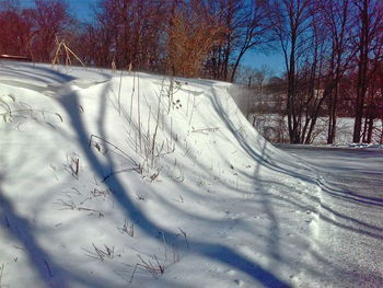 Bare trees on snow field against sky