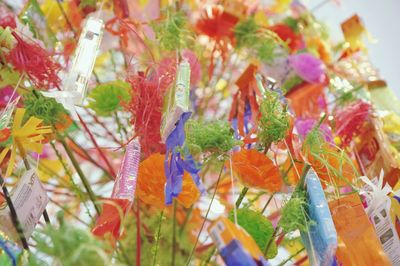 Full frame shot of multi colored candies