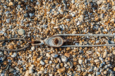 Close-up of pebbles