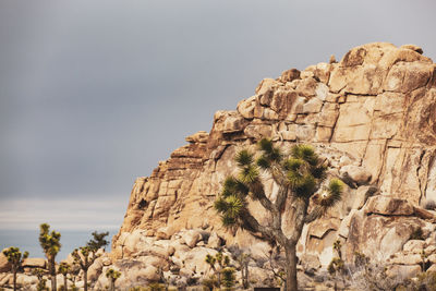 Low angle view of rock formation against sky